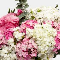 سطل گل قلمفور