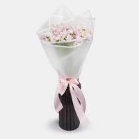 دسته گل داوودی صورتی 3 دسته