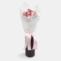 دسته گل داوودی سفید با الستر صورتی