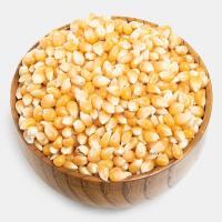 ذرت پاپ کورن
