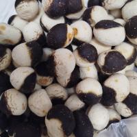 کشک قرقروتی (دورنگ)