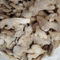 زنجبیل خشک 1