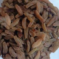 کشمش سبز ممتاز