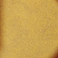 پودر زردچوبه ۱ (هندی)