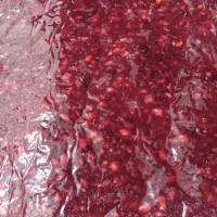 لواشک انار ملس