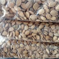 تخمه تفت داده شده کم نمک 550 گرم