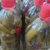 خیارشور سوپر ویژه ارگانیک