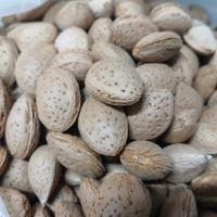 بادام درختی 500 گرم