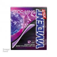 آدامس تمشک ویویدنت 33 گرم