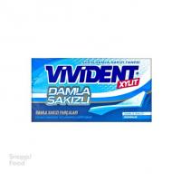 آدامس دالما نعنا یخ ویویدنت 26 گرم