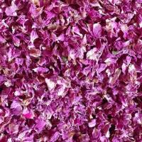 گل محمدی