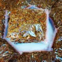 لوبیا سبز سرخ شده با رب گوجه 500 گرم