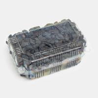 مویز بدون هسته