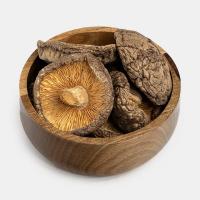 قارچ شیتاکه