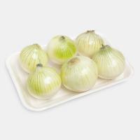 پیاز سفید اصفهان