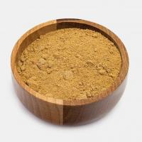 ادویه همبرگر