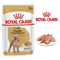 پوچ سگ پودل بالغ رویال کنین 85 گرم