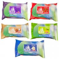 دستمال مرطوب پاکتی درب دار مستر پنگوئن