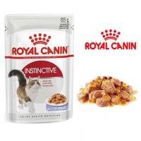  پوچ گربه مدل اینستکتیو رویال کنین