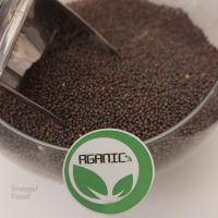 تخم خردل سیاه