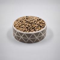 لوبیا چشم بلبلی