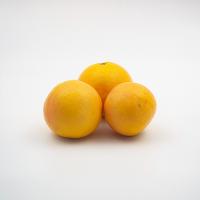 گریپ فروت درجه 1