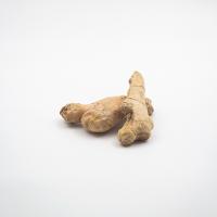 زنجبیل تازه درجه 1