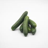 خیار گلخانه ای