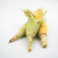 بلال مکزیکی