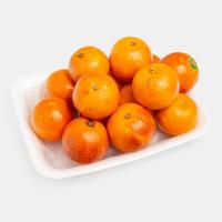 پرتقال تو سرخ درجه 2