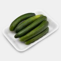 خیار سالادی یزد