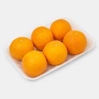 پرتقال والنسیا شمال