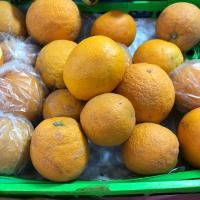 پرتقال تامسون اقتصادی