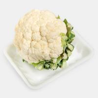 گل کلم گل خانه ای