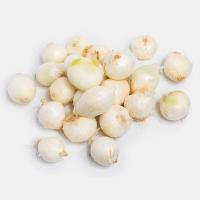 پیاز سفید اقتصادی