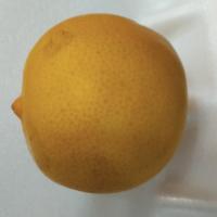 لیمو شیرین درجه 1