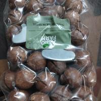 بادام ماکادمیا