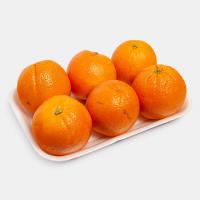 پرتقال شمال درجه 1