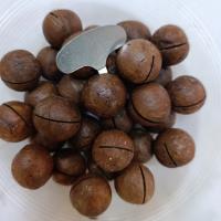 فندق ماکادمیا