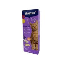 بستنی گربه برند وینستون طعم گوشت و پنیر