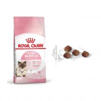 غذای خشک بچه گربه و مادر شیرده (Mother & BabyCat) رویال کنین (فله)