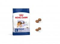 غذای خشک سگ بالغ نژاد بزرگ مکسی ادالت Maxi Adult رویال کنین (فله)