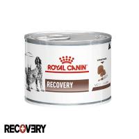 کنسرو ریکاوری رویال کنین سگ و گربه 195 گرم