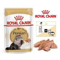 پوچ گربه بالغ پرشین Persian بصورت موس خمیری رویال کنین ۸۵ گرم