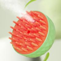 برس اسپری بخار گرد با دکمه تخلیه