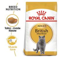 غذا خشک گربه بالغ بریتیش British Shorthair رویال کنین (فله)