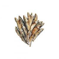 تشویقی طبیعی ماهی خشک شده ساردین 1 عدد