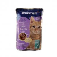 پوچ گربه وینستون طعم ماهی سالمون و قزل آلا در سس