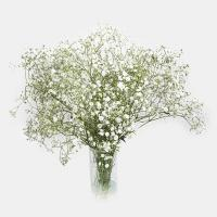 دسته گل عروس سفید 1 دسته (متوسط) - گلفروشی گلستان نور