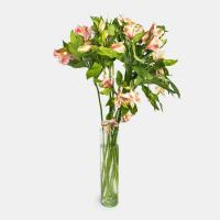 دسته گل آلسترومریا صورتی